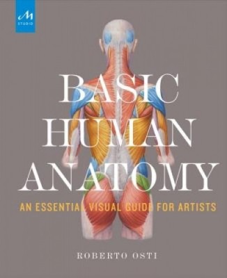 Basic Human Anatomy: An Essential Visual Guide for Artists foto