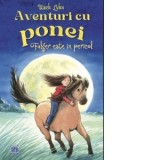 Aventuri cu ponei. Fulger este in pericol - Usch Luhn