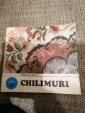 Chilimuri album caleidoscop S. Sburlan Bucuresti 1979