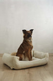 Calma House pat pentru animale de companie Henry Dog L