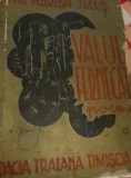 VALUL FERMECAT MIA MARIAN JALES BANAT,TIMISOARA