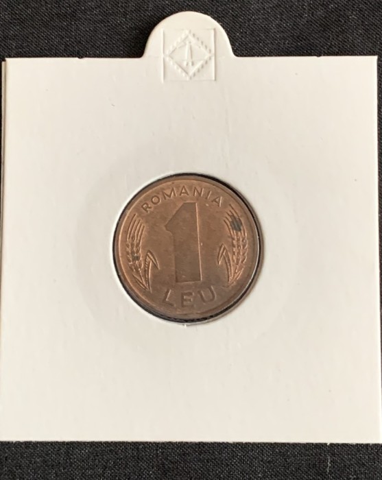 Moneda 1 leu 1996