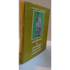 MORFOLOGIA SI PATOLOGIA TESUTULUI CONJUNCTIV, 1983