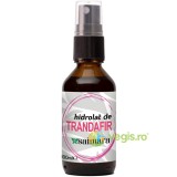 Hidrolat (Apa Florala) de Trandafir 100ml