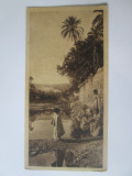 Carte postala 150 x 75 mm necirculata Egipt-La amiaza in oaza anii 20, Printata