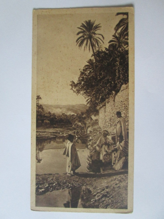 Carte postala 150 x 75 mm necirculata Egipt-La amiaza in oaza anii 20
