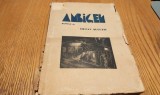 OCTAV SULUTIU - AMBIGEN roman - I. ANESTIN (gravuri) - Editura "Vremea", 1935, 275 p.