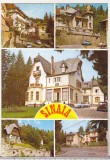 Bnk cp Sinaia - Vedere - necirculata, Printata