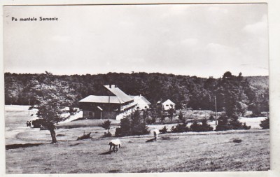 bnk cp Pe muntele Semenic - Vedere - uzata foto