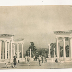 FA42-Carte Postala- GEORGIA - Batumi, Parcul Primorsky ,necirculata 1955