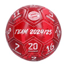 Bayern Munchen balon de fotbal Signature 24/25 - dimensiune 5 foto