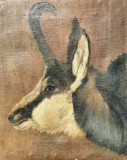 Cumpara ieftin Capră neagră, pictură veche pe p&acirc;nză, nesemnată, Animale, Ulei, Realism