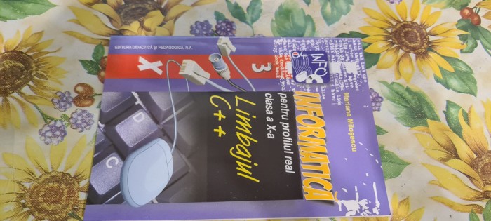 Mariana Milosescu manual informatica clasa X C++