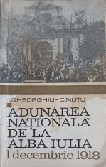 ADUNAREA NATIONALA DE LA ALBA IULIA - 1 DECEMBRIE 1918-I. GHEORGHIU, C. NUTU-264686 foto