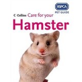 Care for Your Hamster