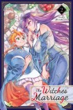 The Witches&#039; Marriage, Vol. 2