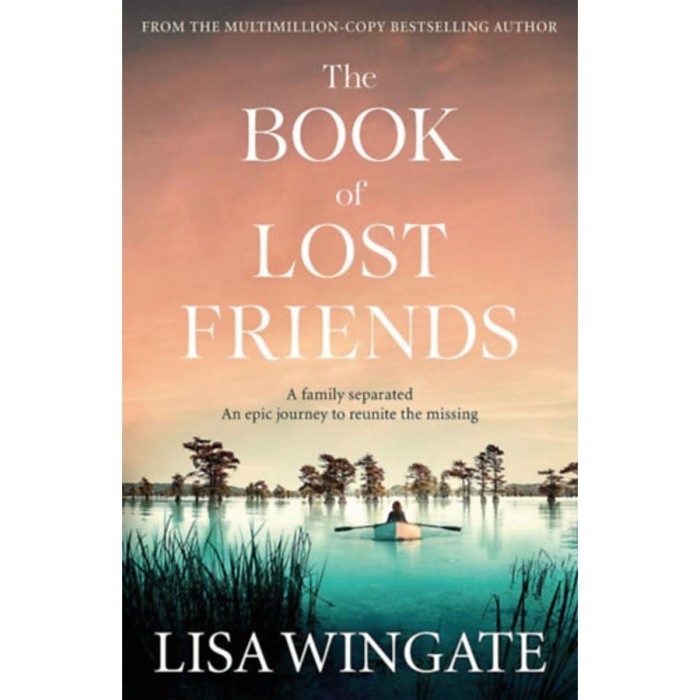 The Book of Lost Friends - Lisa Wingate
