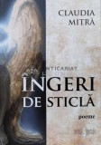 Cumpara ieftin INGERI DE STICLĂ - 2015 - Claudia Mitra (J74)