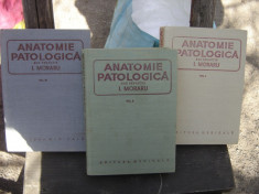 ANATOMIE PATOLOGICA - I. MORARU 3 VOLUME foto