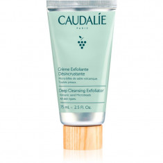 Caudalie Cleaners & Toners exfoliant facial pentru curatare profunda 75 ml