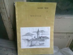 MEDIAS - LAURENTIU OPREA foto