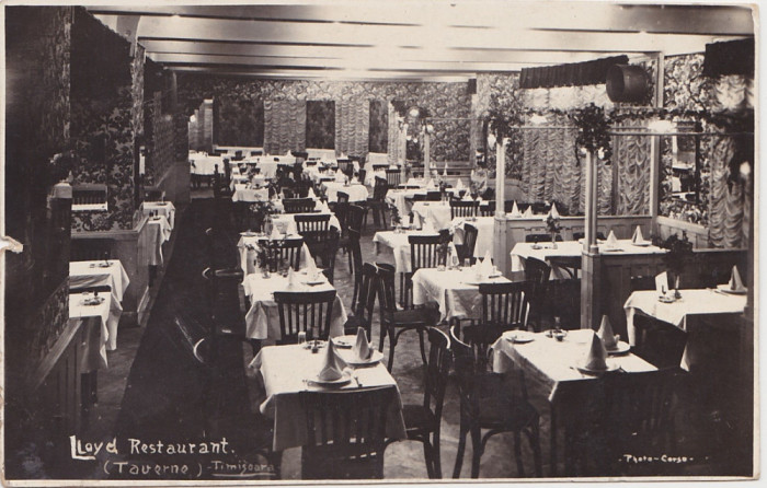 CP Timisoara Restaurant Lloyd taverna imagine din interior ND (1930)