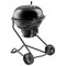 Gratar pe carbuni R&Ouml;SLE AIR PRO F50 VARIO+ Essential GrillCooking