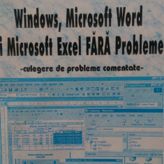 Windows, microsoft word si excel fara probleme M.Georgescu G.Rizescu 2000