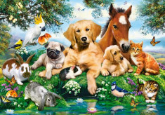 Puzzle Castorland - Summer Pals 500 piese (53230) foto