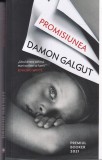 Damon Galgut - Promisiunea