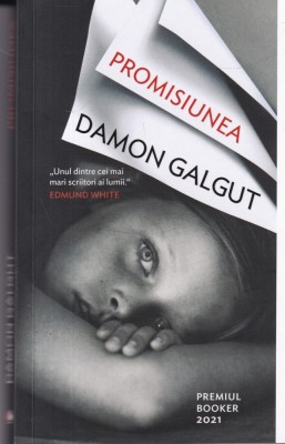 Damon Galgut - Promisiunea foto
