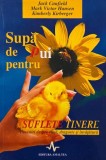 Supa de pui pentru suflete tinere. 101 povestiri despre viata, dragoste si invatatura - Jack Canfield