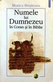Numele lui Dumnezeu in Coran si in Biblie - 2005 - Monica Brosteanu (Z324)