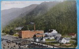 Carte Postala, Azuga, Fabrica de bere, perioada interbelica