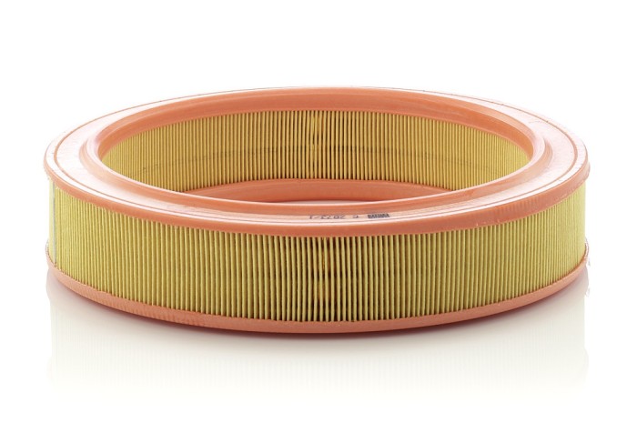 MANN-FILTER C 2873/1 Filtru aer
