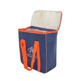 Geanta frigorificaGolden Days, 16 litri, 30 x 15 x 25 cm