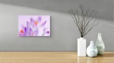 Tablou Canvas Abstract Floral Multicolor pentru Decorarea Interiorului, 39 x 26 cm, CMCLASS