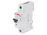 &Icirc;ntrerupător de Supracurent 6A 230V 1P C
