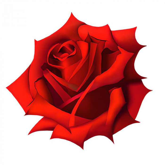 Sticker decorativ, Trandafir, Rosu, 60 cm, 7585ST