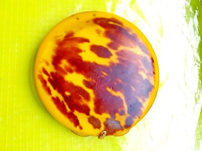 6348-I-Pudriera veche baga, ebonite? perioada interbelica. foto