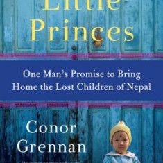 Little Princes: One Man's Promise to Bring Home the Lost Children of Nepal