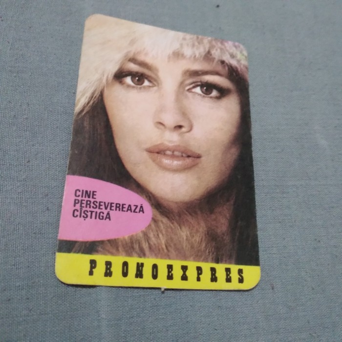 CALENDAR 1984 PRONOEXPRES