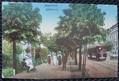 Carte Postala, Oradea 1919 foto