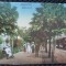 Carte Postala, Oradea 1919