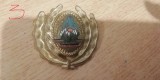 QW14 - Emblema militara / cuc - uscat - comunism - piesa de colectie