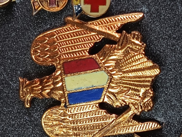 efecte militare ,cuci ,RSR.