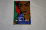 Nectar in sita - Markandaya Kamala - 1961