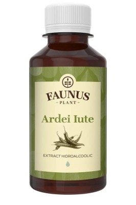 TINCTURA ARDEI IUTE 200ML foto