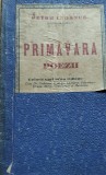 PRIMAVARA PETRU E OANCE BANAT TATA OANCEA PRINCEPS !!!!1928 BANAT !!!!!