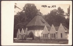 5582 - VATA de JOS, Hunedoara, Romania - old postcard, real Photo - unused
